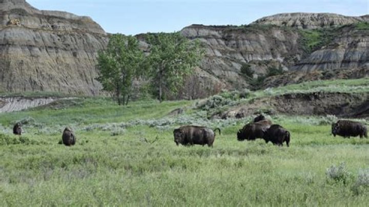 How many national parks did Teddy Roosevelt established