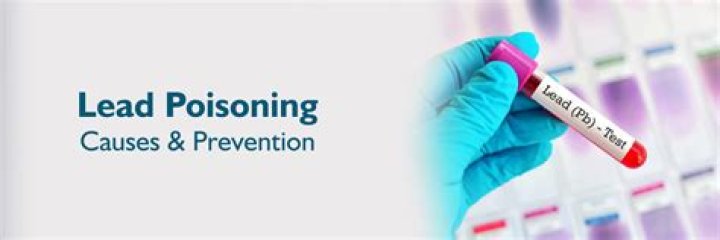 How many people have been affected by lead poisoning