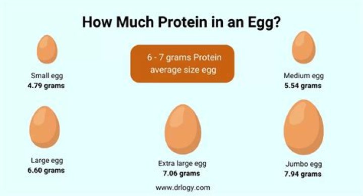 How Many Protein In 1 Egg