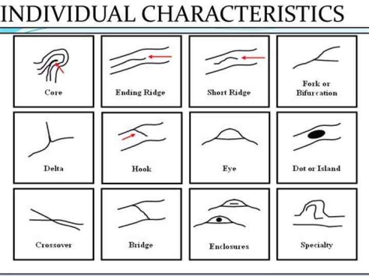 How much do latent print examiners make