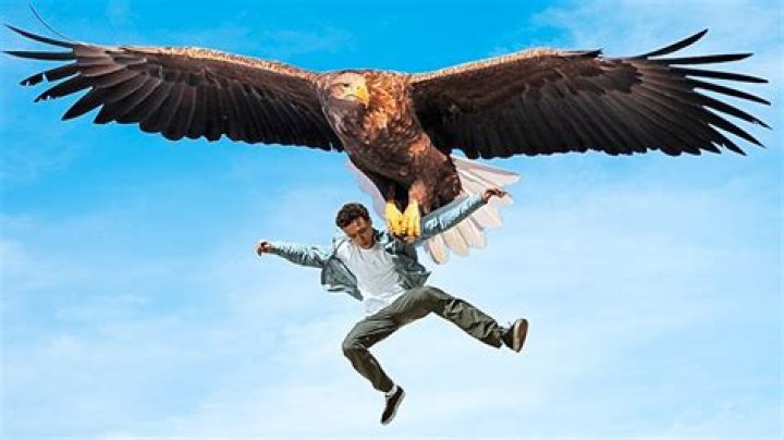 How much does a 2006 Jayco Eagle weigh?