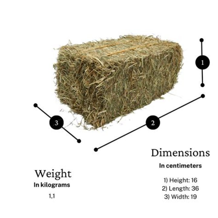 How much does a bale of alfalfa hay cost