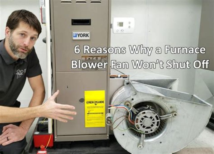 How much does it cost to replace the blower on a furnace?