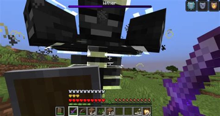 How Much Health Does The Wither Have