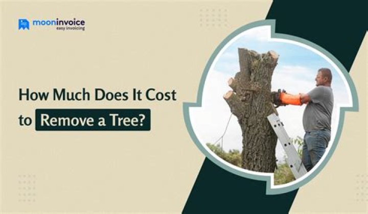 How much will it cost to remove a tree