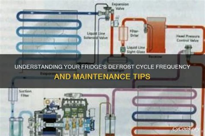 How often does a refrigerator run a defrost cycle?