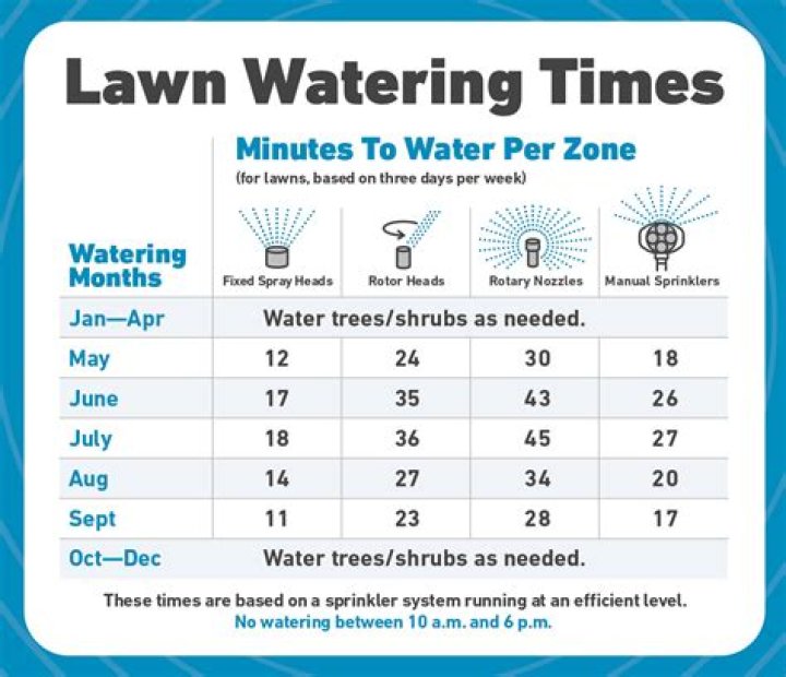 How often should you water your lawn in Texas