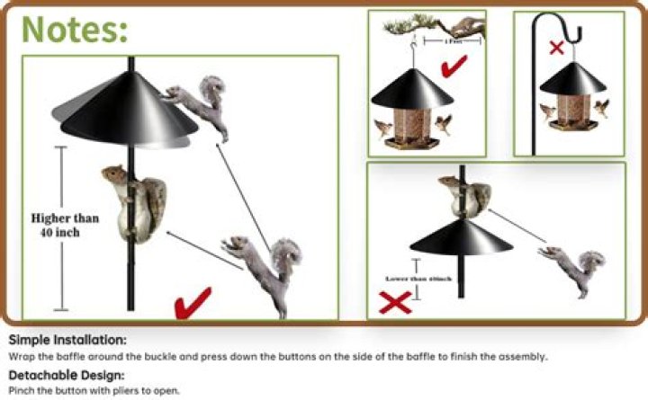 How To Keep Squirrels From Climbing Shepherds Hook