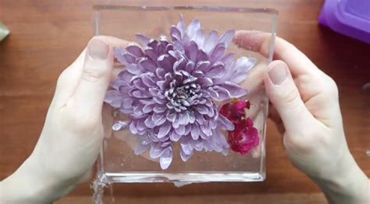 How to preserve flowers in resin