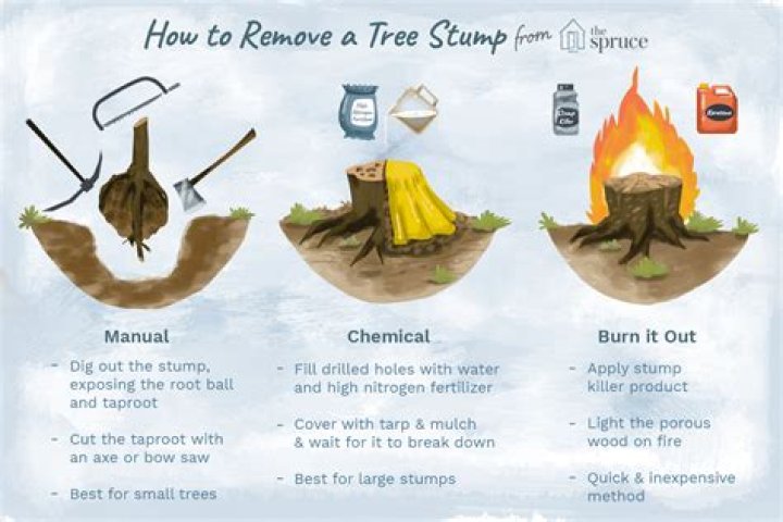 How to remove a tree stump