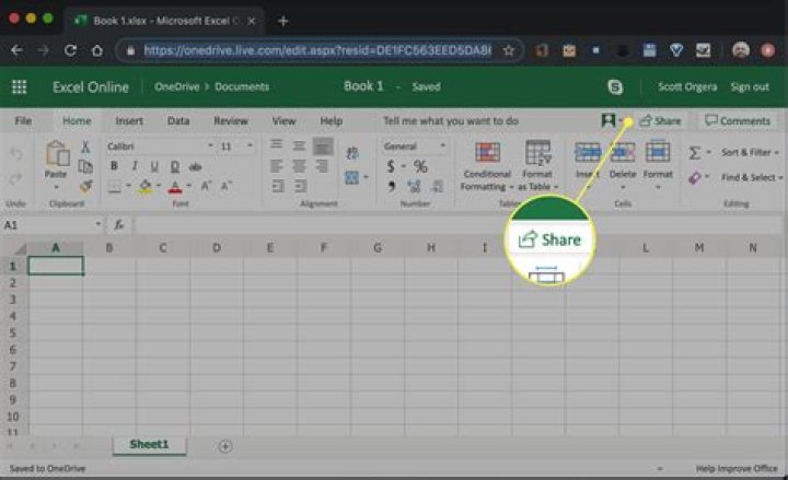 How to share excel file