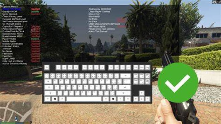 How To Use Gta V Trainer