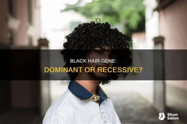 Is black hair a dominant or recessive gene