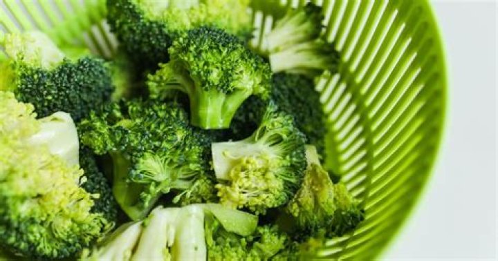 Is Broccoli Good For Dogs With Kidney Disease