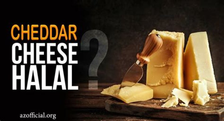Is Cheddar Cheese Halal - How To Discuss