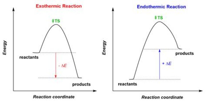 Is condensing steam exothermic or endothermic