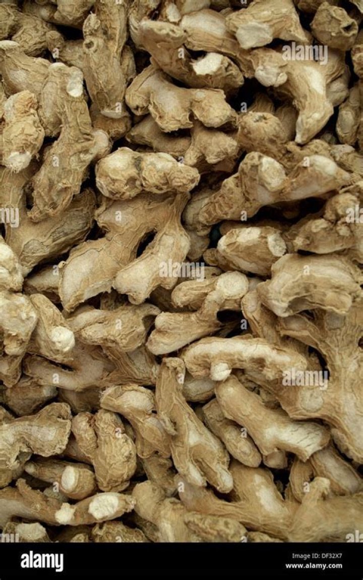 Is Ginger a carminative