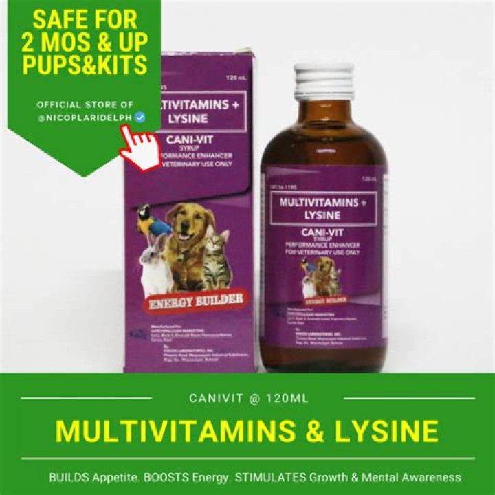 Is Maple Syrup Ok For Dogs And Cats