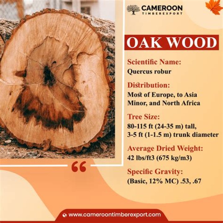 Is Oak a good outdoor wood