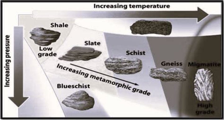 Is shale a carbonate rock
