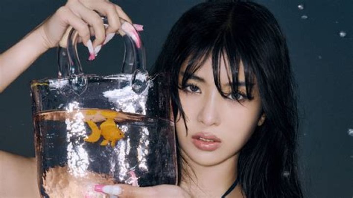 Is Sophias war a true story