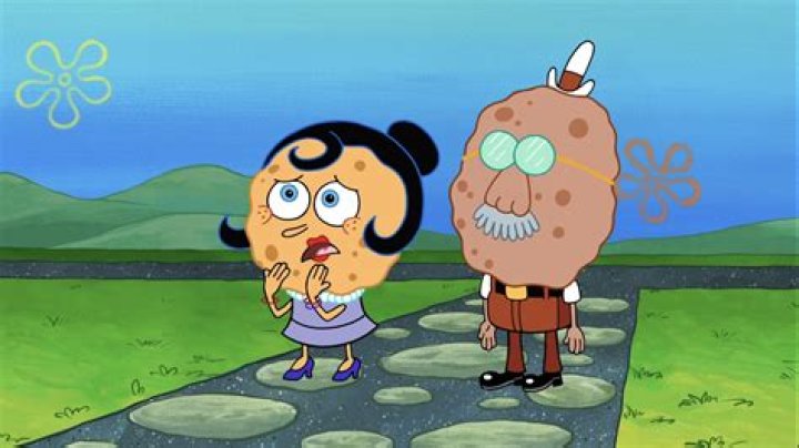 Is spongebobs grandma a sponge or a cookie