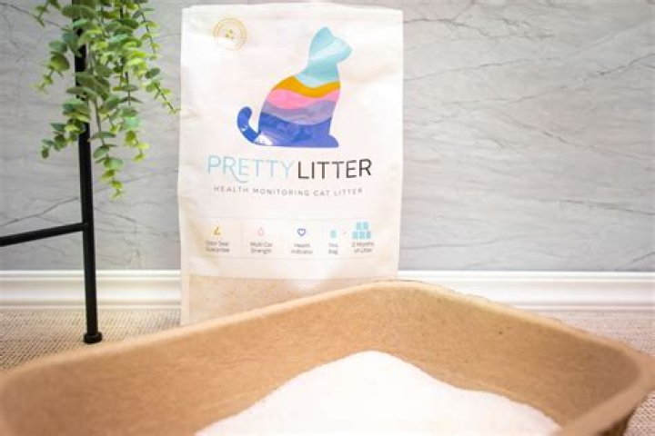 Kitty Litter To Dry Paint