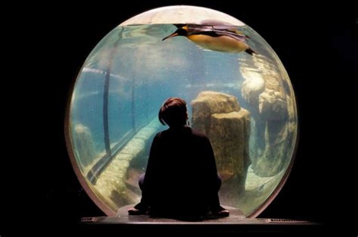 Living In A Bubble Meaning