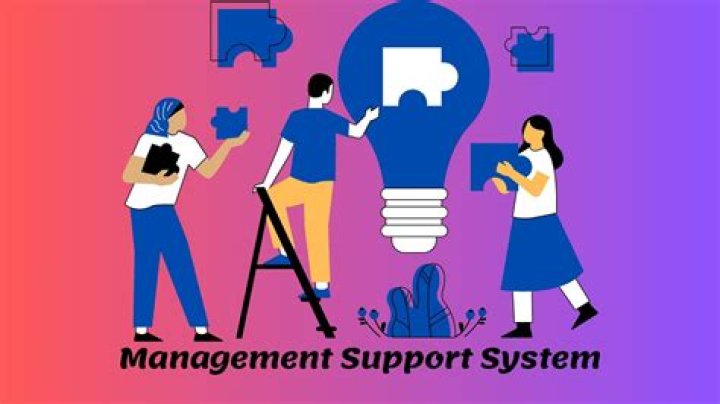 Management support system (MSS) - How To Discuss