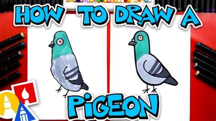 Pigeon - How To Discuss