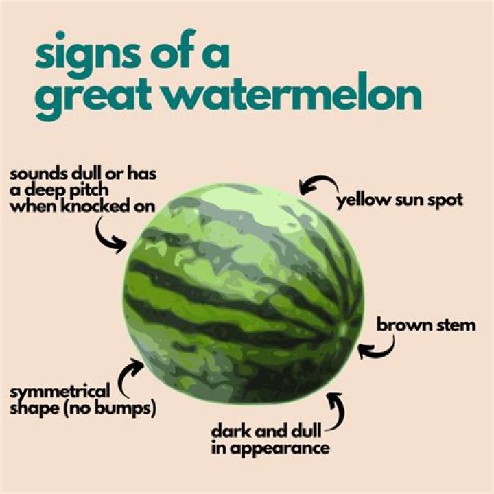 Pink watermelon - How To Discuss