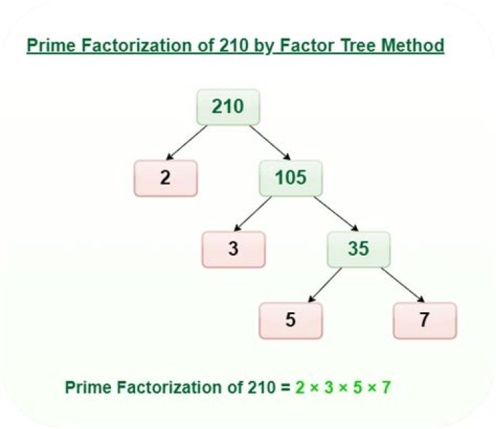 Prime Factorization Of 20 - How To Discuss