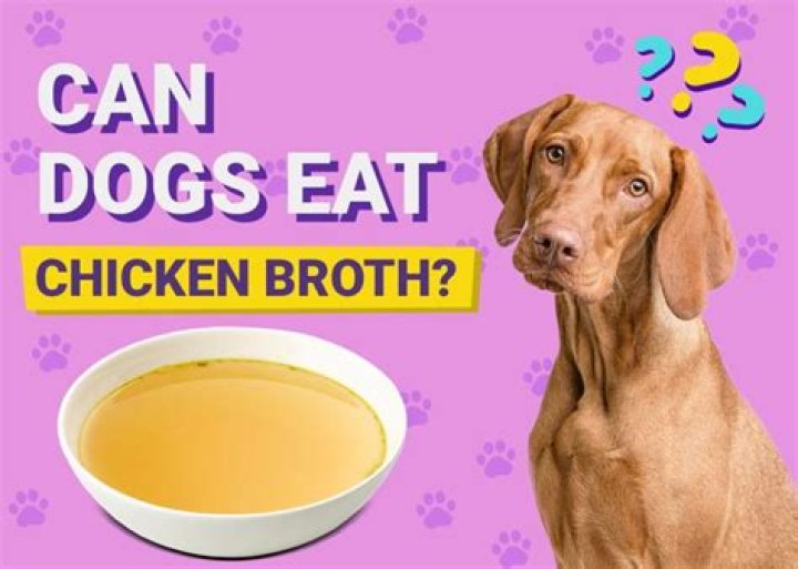 Question: Can Chicken Broth Make Dogs Sick