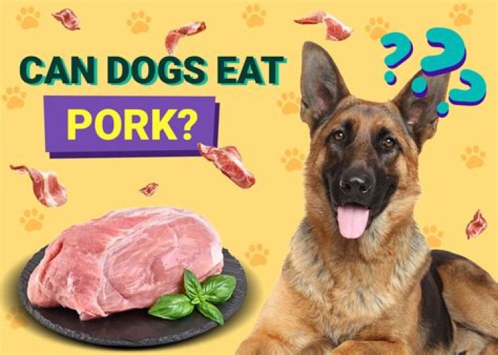 Question: Can You Feed Dogs Cooked Ground Pork
