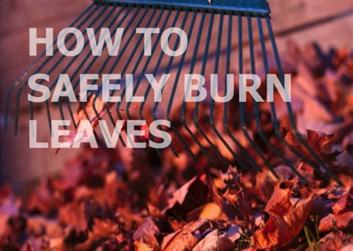 Question: How To Burn Leaves