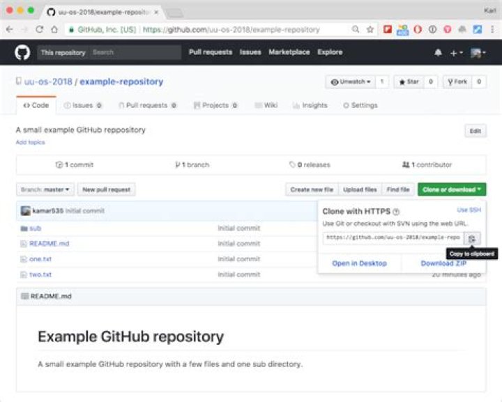 Question: How To Make A Live Link From Github Repo