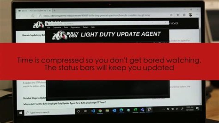 Question: How To Use Bully Dog Update Agent