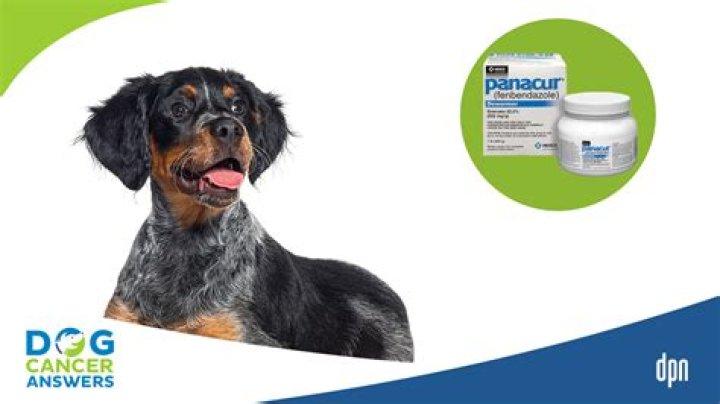 Quick Answer: How Long Is Panacur Liquid For Dogs