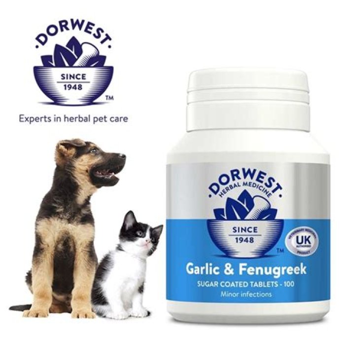 Quick Answer: How Much Fenugreek For Dogs