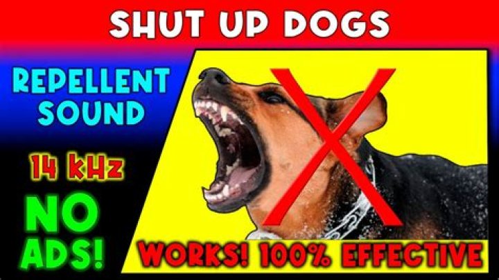 Quick Answer: How To Make Neighbor Dog Shut Up