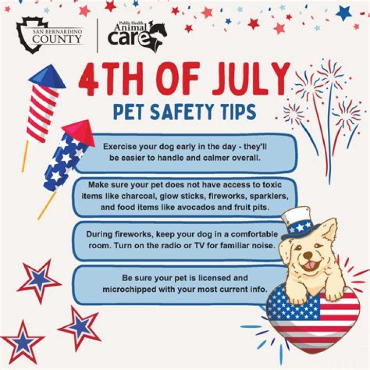 Quick Answer: Is Holly Tone Dog Safe For Pets