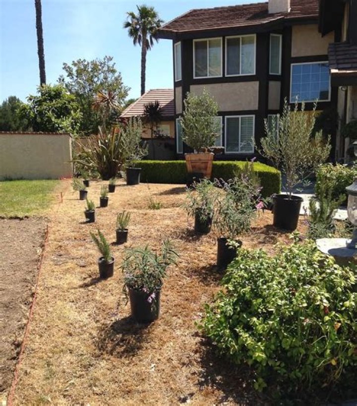 Quick Answer: Is Homeowner Responsible For Sidewalk Maintenance In Texas