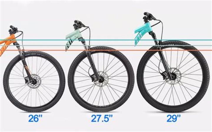 Quick Answer: What Size Person Does A 26 Inch Bike Fit