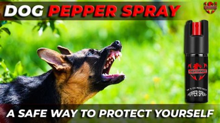 Quick Answer: Will Pepper Spray Stop A Dog Fight