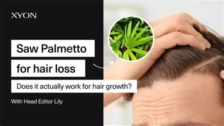 Saw palmetto hair loss - How To Discuss