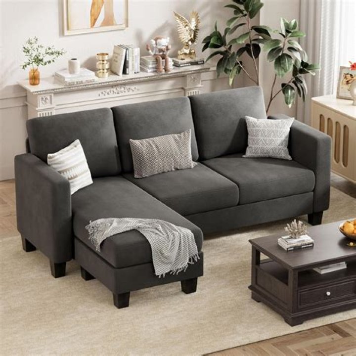 Should I get a sectional or a sofa