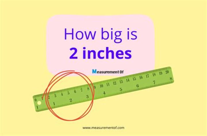 Size 8 in inches - How To Discuss