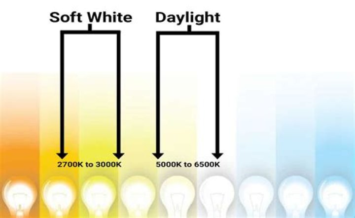 Soft White Vs Daylight Bulbs
