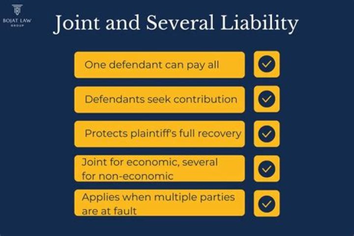 Strict joint and several liability