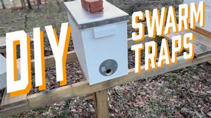 Swarm trap - How To Discuss